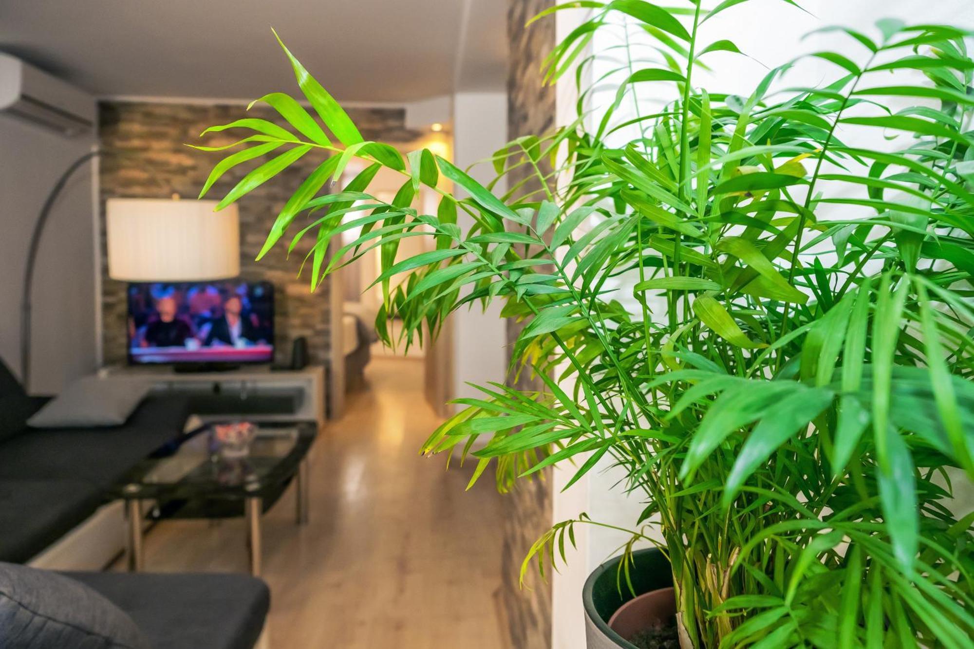 Relaxing 2Bd Apartment, Ground Floor - Walk To Old Town Split Extérieur photo